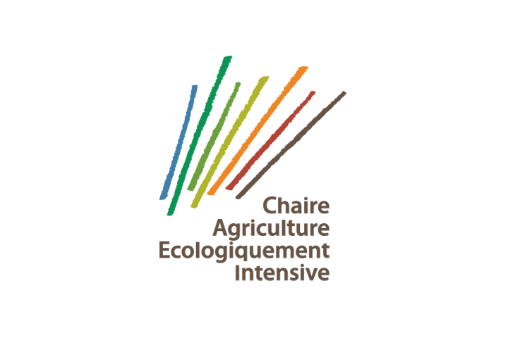 Logo Chaire AEI